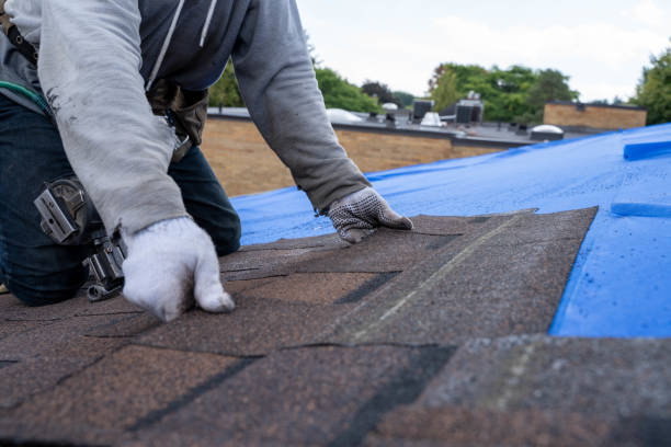 Best Metal Roofing Contractor  in Eastmont, WA